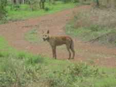 Im Kakadu Nationlpark